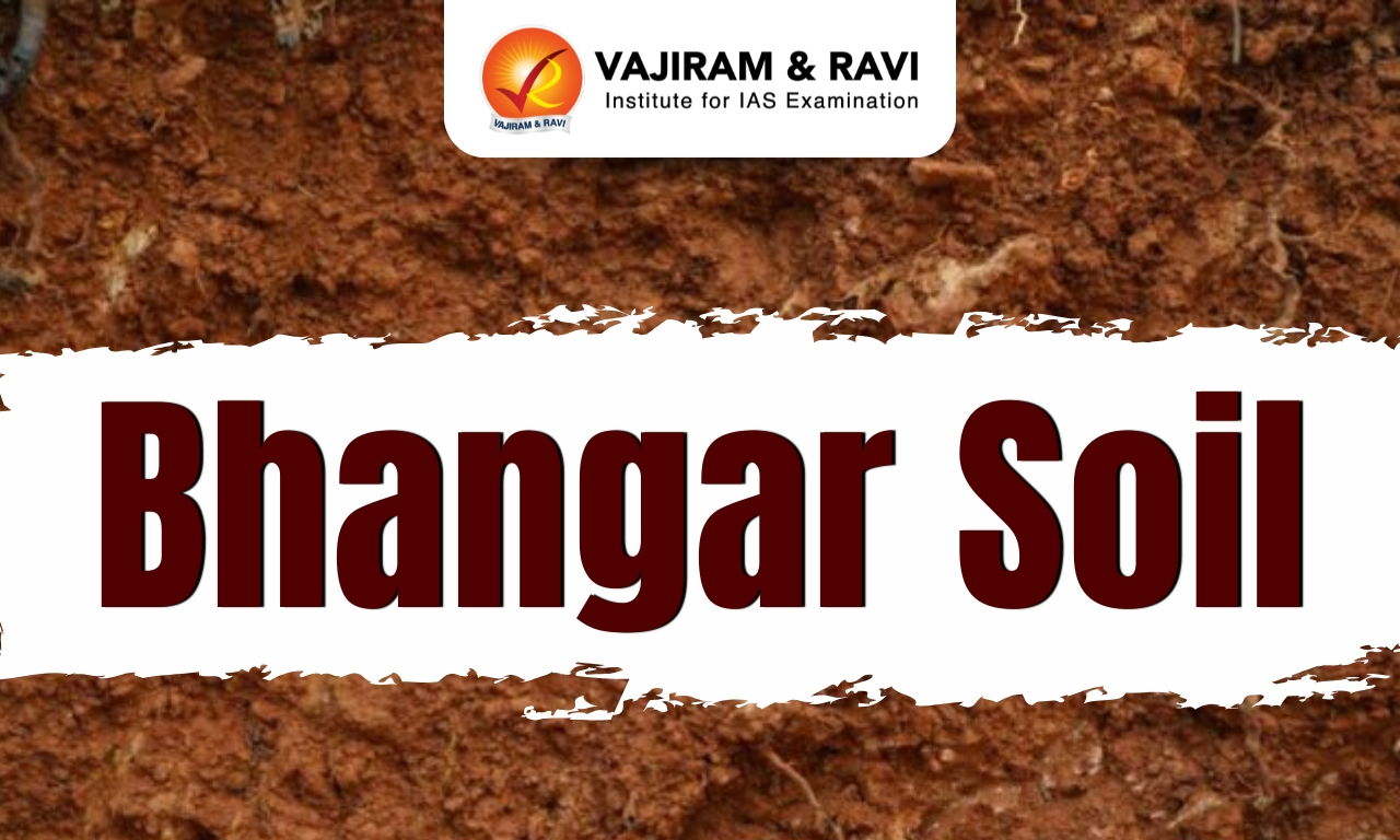Bhangar Soil