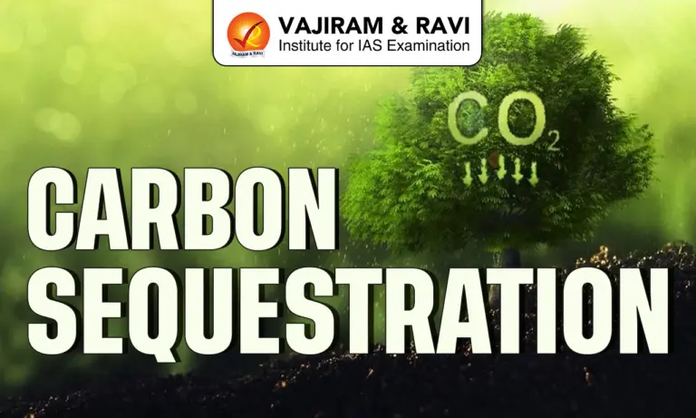 Carbon Sequestration
