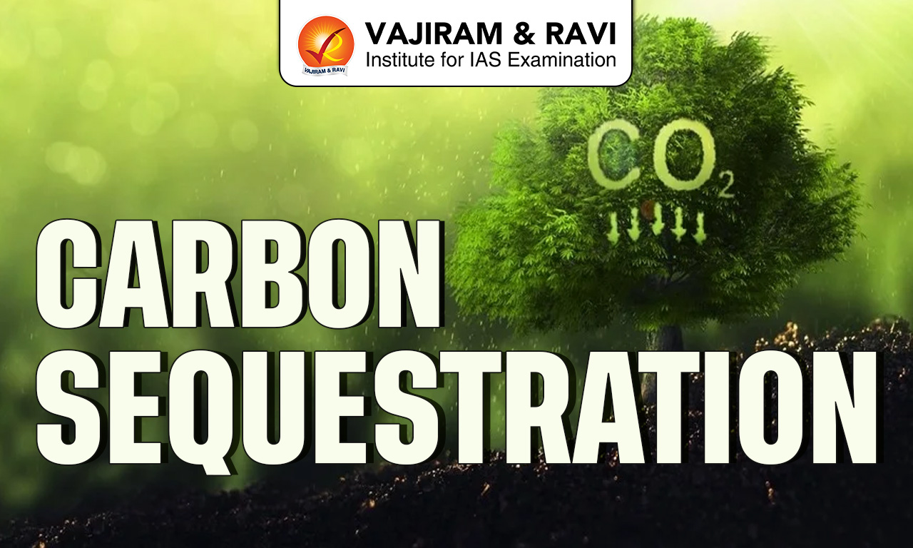 Carbon Sequestration