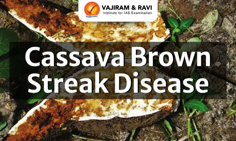 Cassava Brown Streak Disease