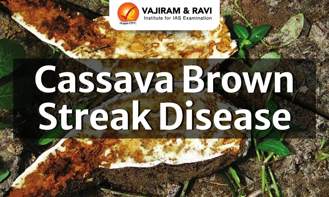 Cassava Brown Streak Disease