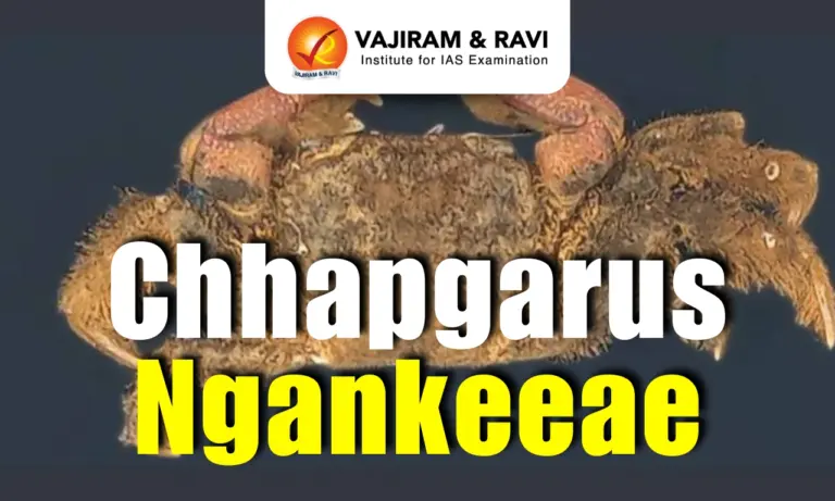 Chhapgarus ngankeeae