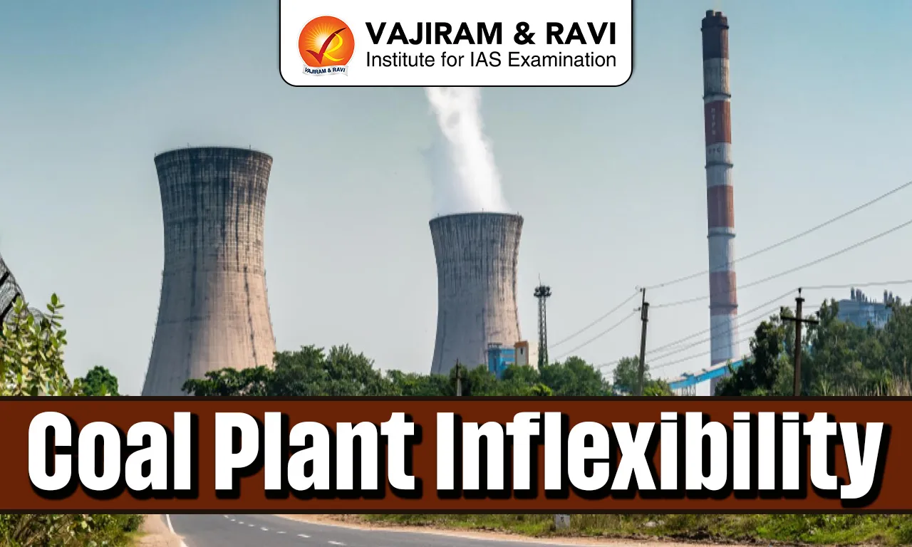 Coal Plant Inflexibility