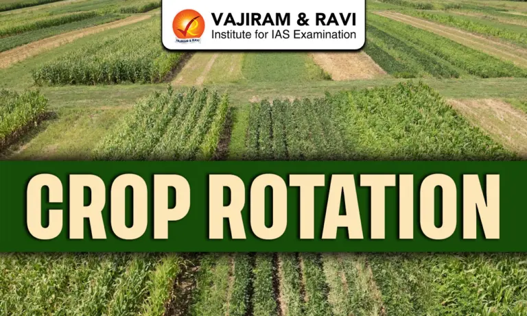 Crop Rotation