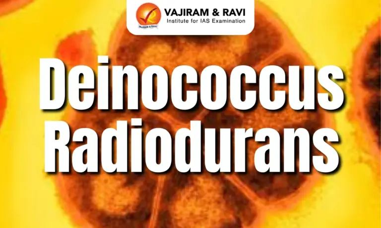 Deinococcus radiodurans