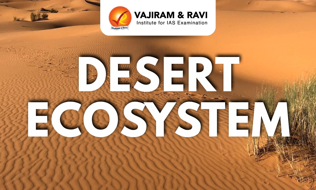 Desert Ecosystem