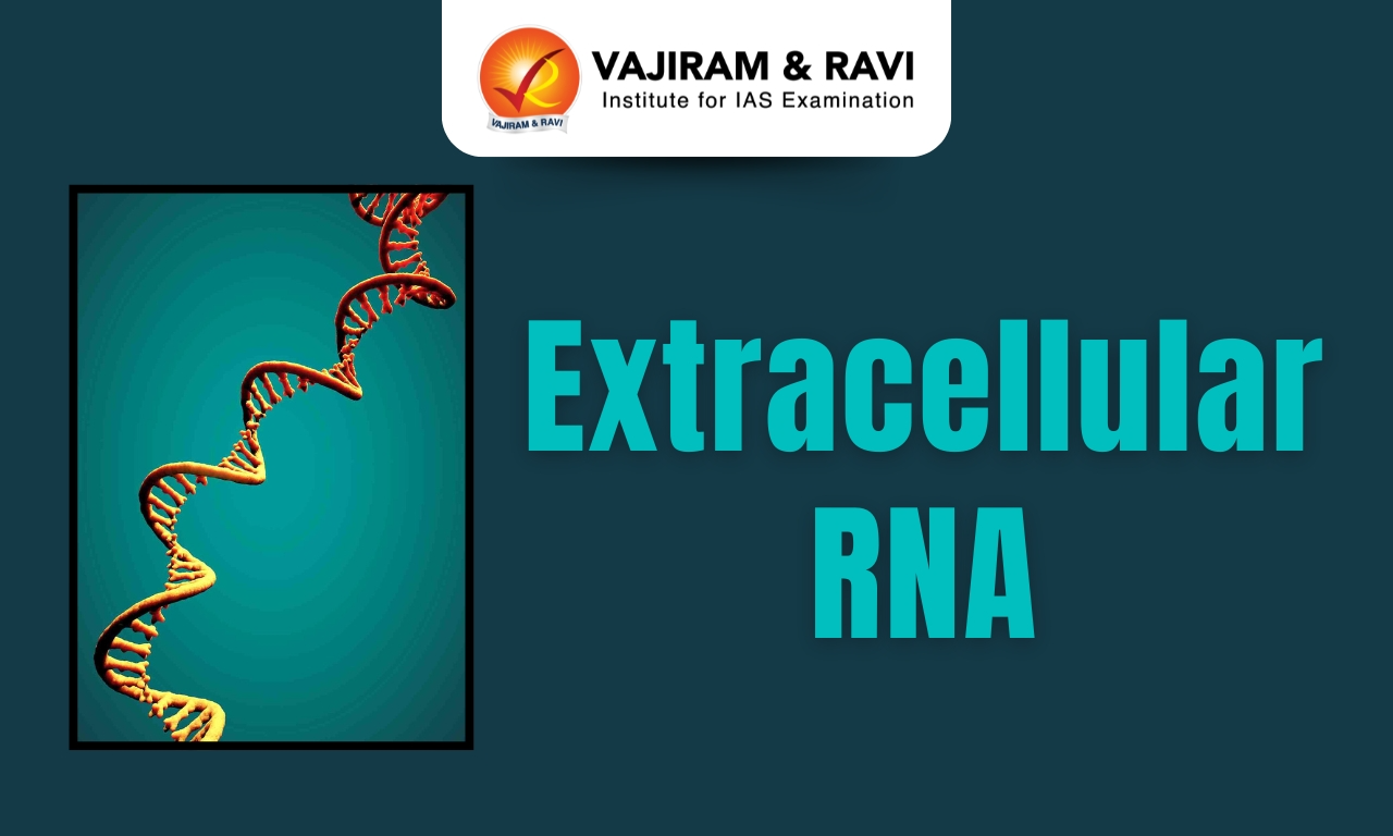 Extracellular RNA