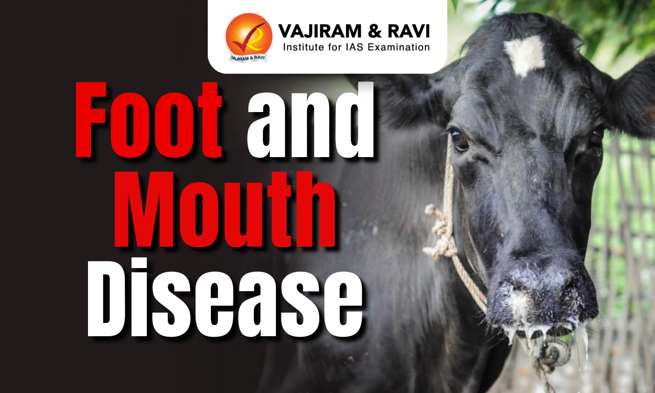 Foot and Mouth Disease