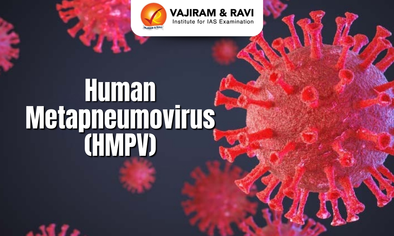 Human Metapneumovirus (HMPV)