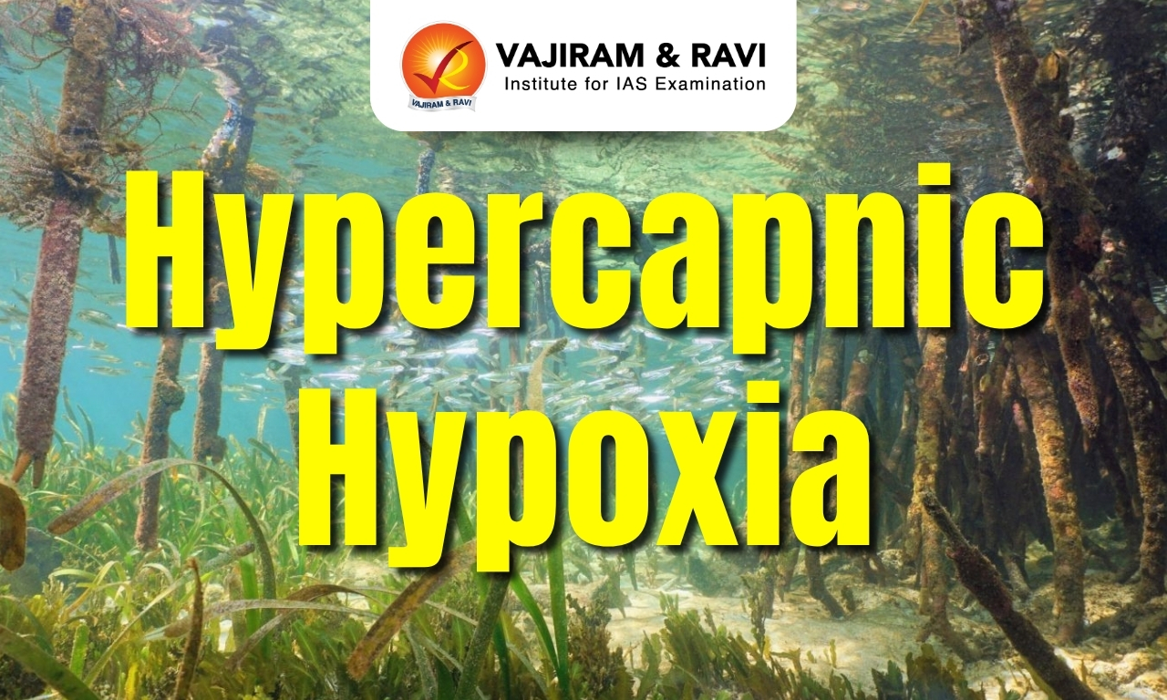 Hypercapnic Hypoxia
