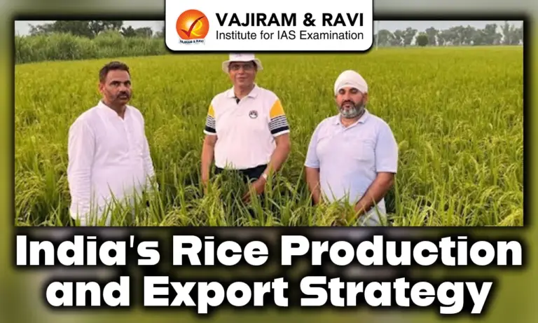 India’s Rice Production and Export Strategy