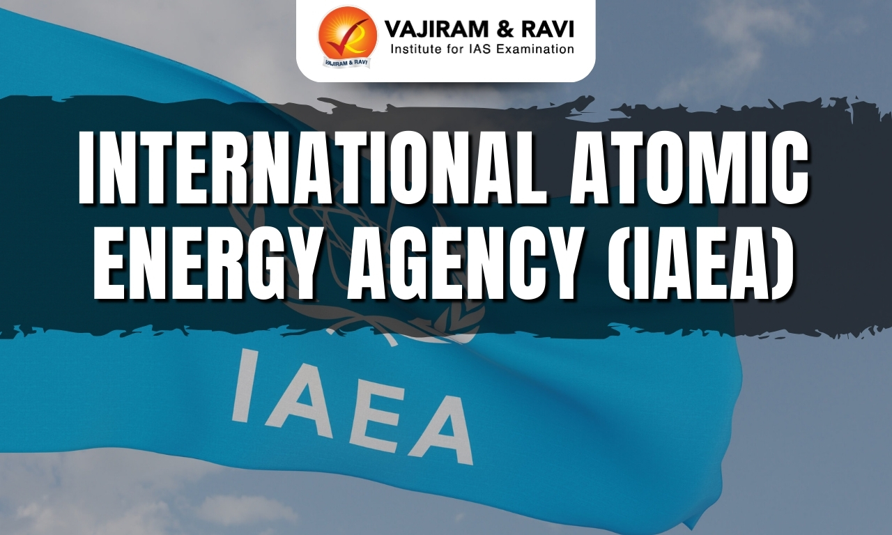 International Atomic Energy Agency (IAEA)