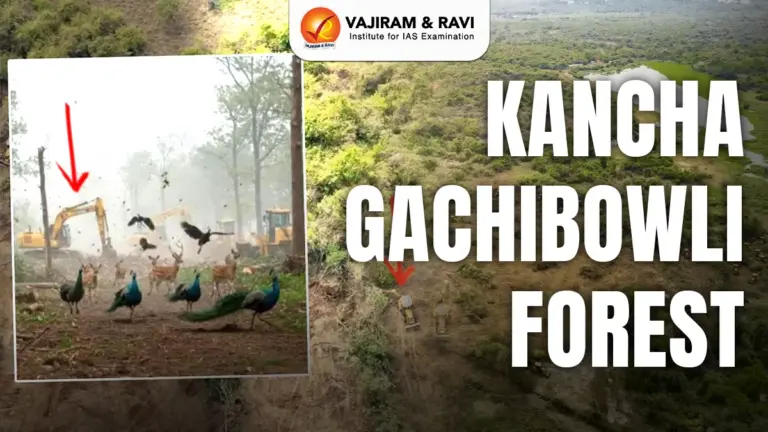 Kancha Gachibowli Forest