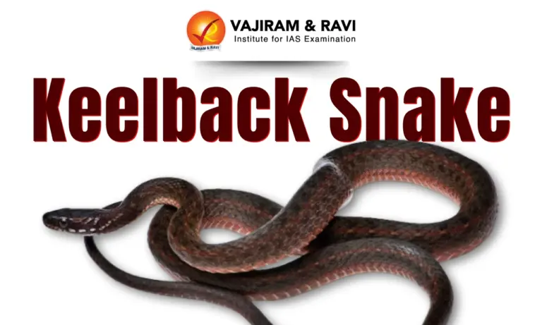 Keelback Snake