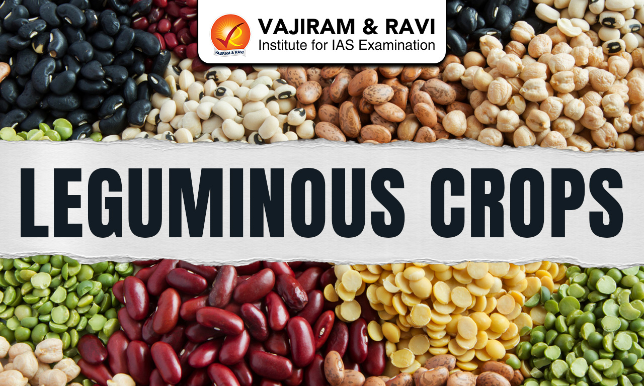 Leguminous Crops