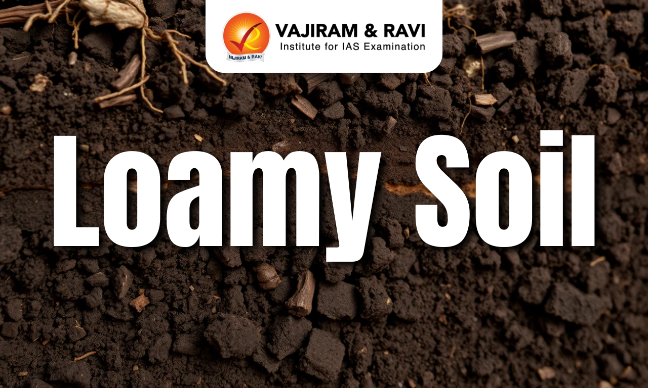 Loamy Soil