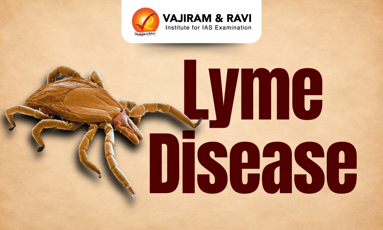 Lyme Disease