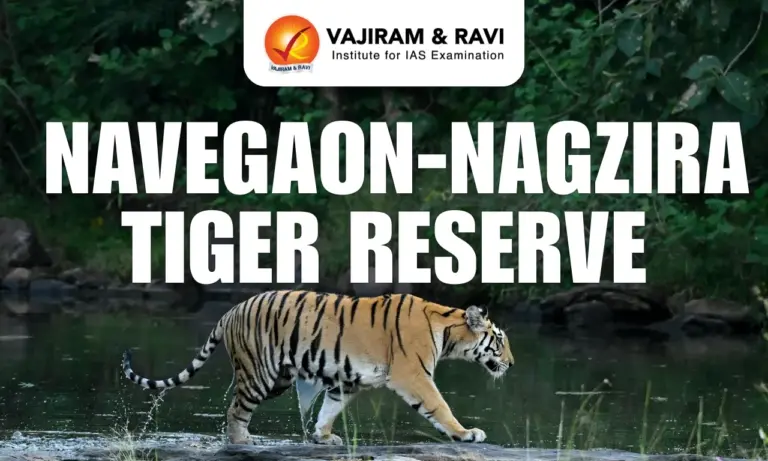 Navegaon-Nagzira Tiger Reserve
