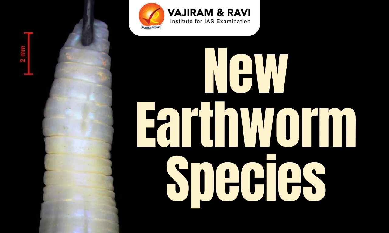 New Earthworm Species