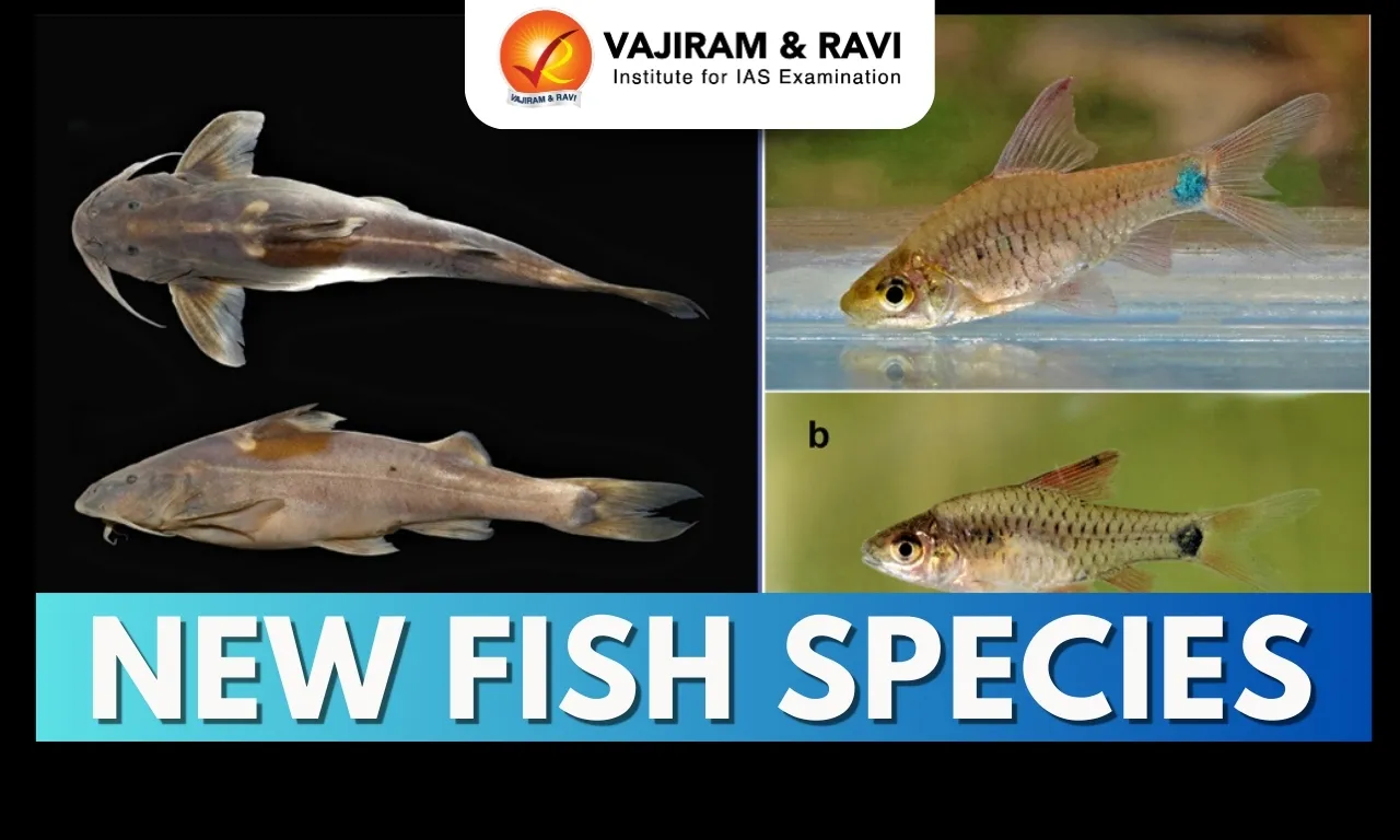 New Fish Species