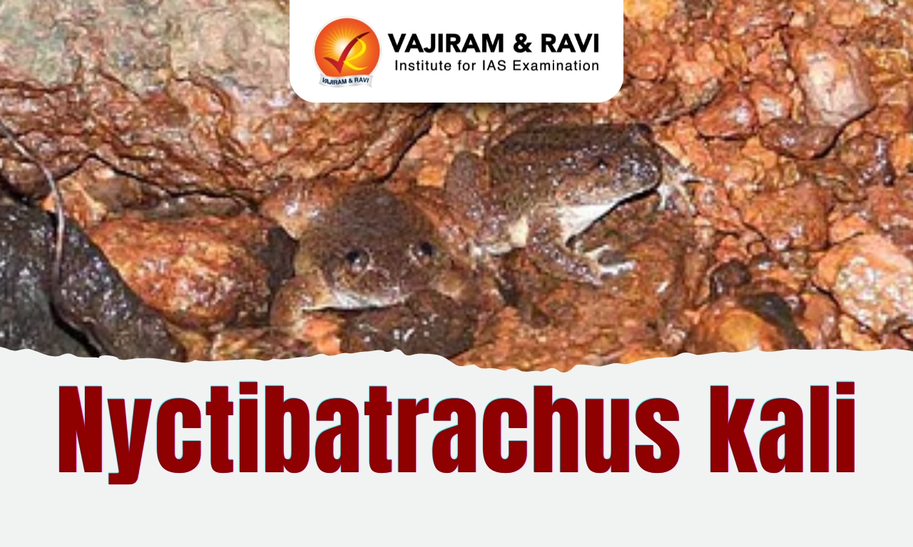 Nyctibatrachus kali