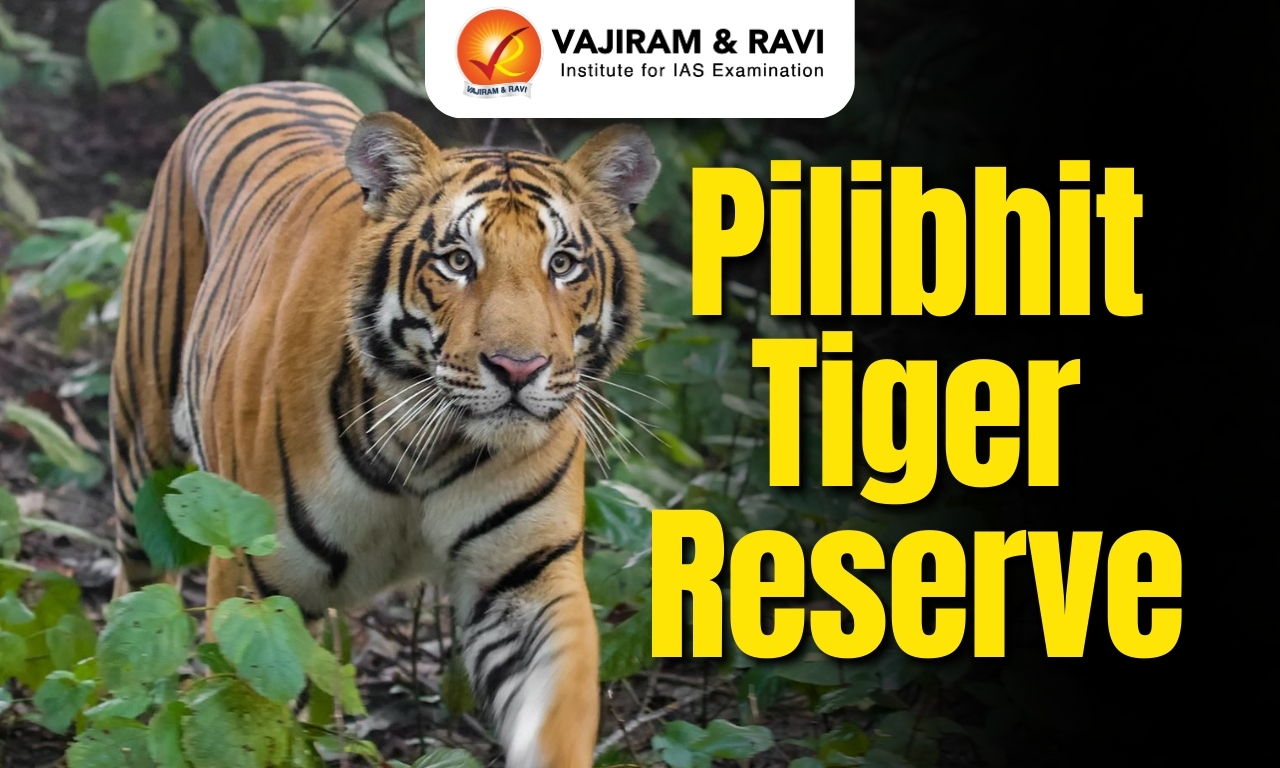 Pilibhit Tiger Reserve