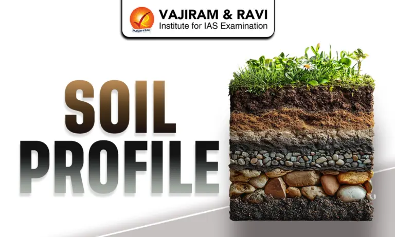 Soil Profile