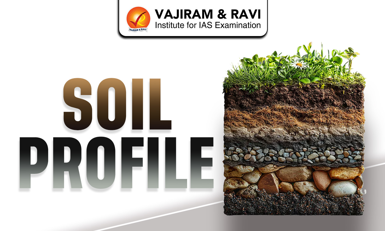 Soil Profile
