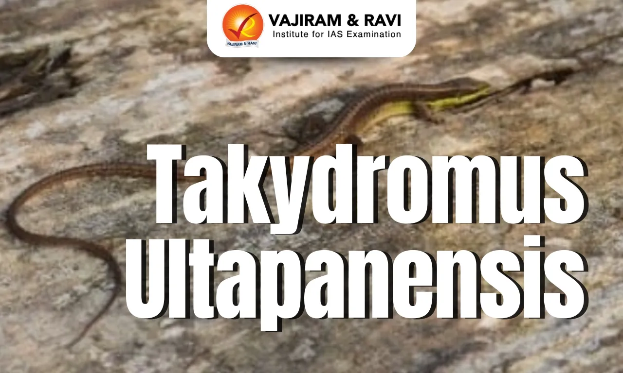 Takydromus ultapanensis