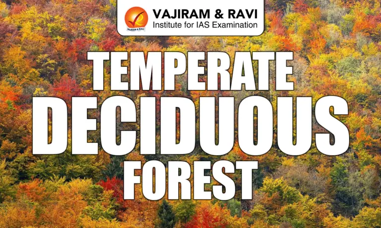 Temperate Deciduous Forests