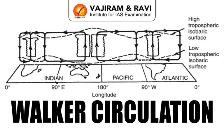 Walker Circulation
