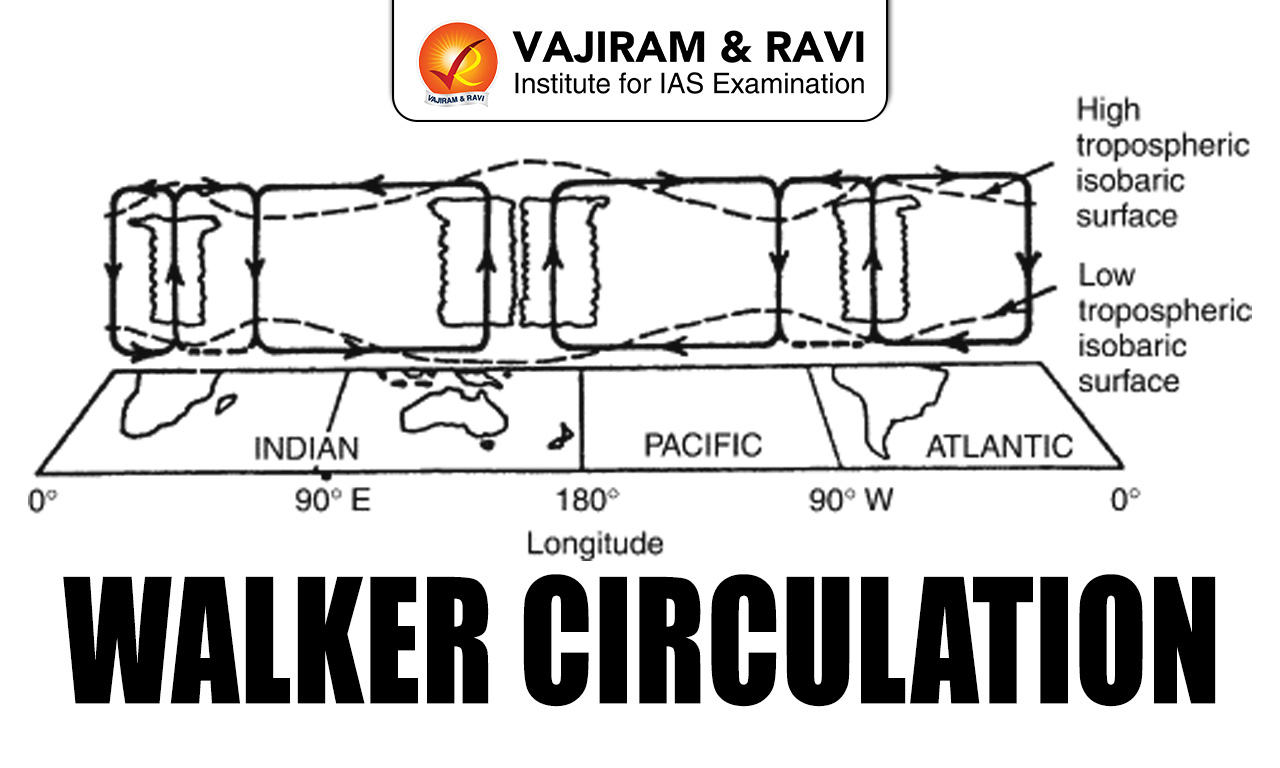 Walker Circulation