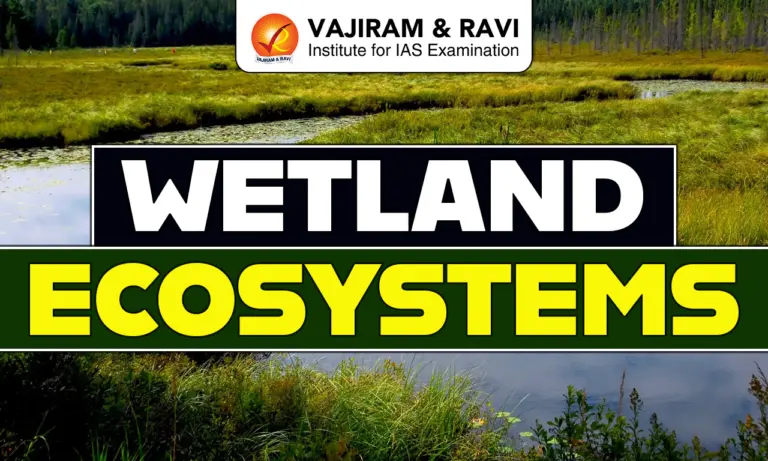 Wetland Ecosystems