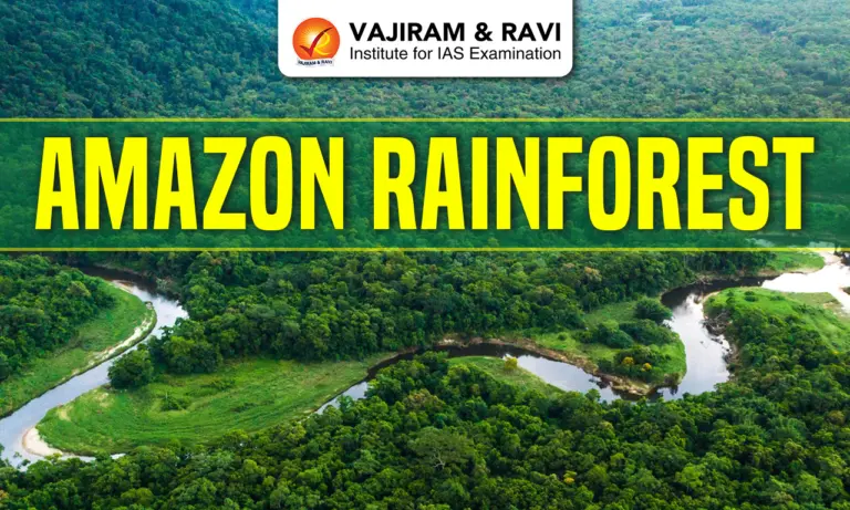 Amazon Rainforest