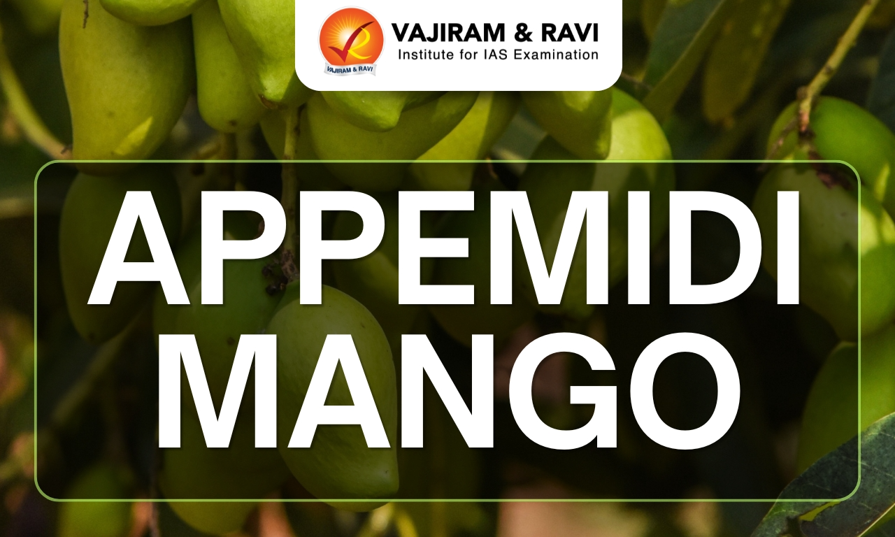 Appemidi Mango