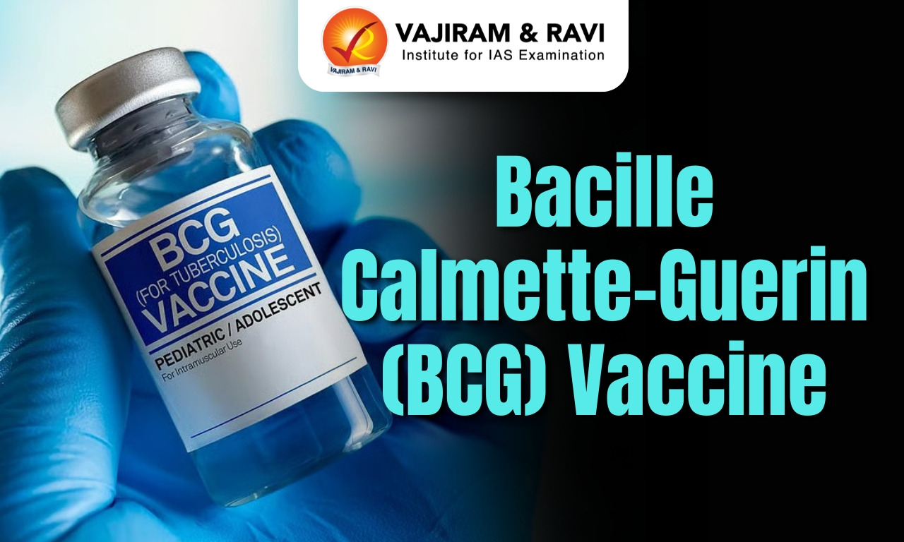 Bacille Calmette-Guerin (BCG) Vaccine