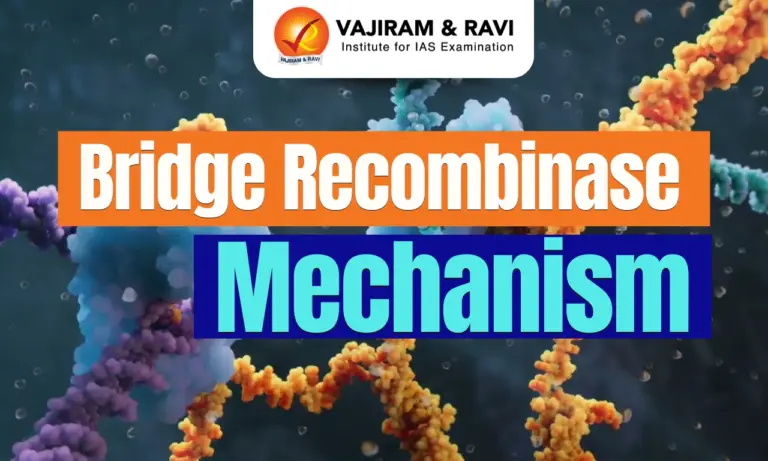 Bridge Recombinase Mechanism