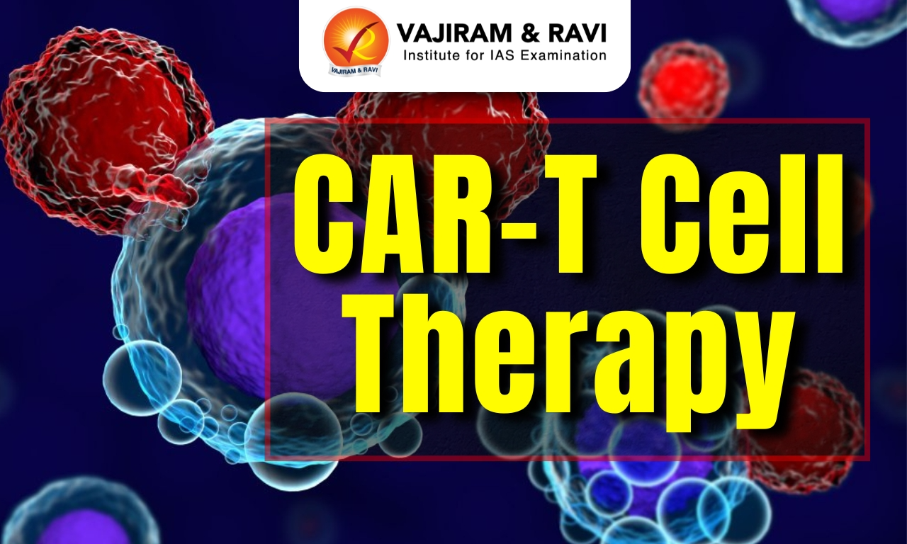 CAR T-Cell Therapy