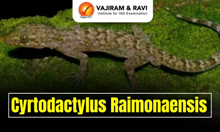 Cyrtodactylus raimonaensis