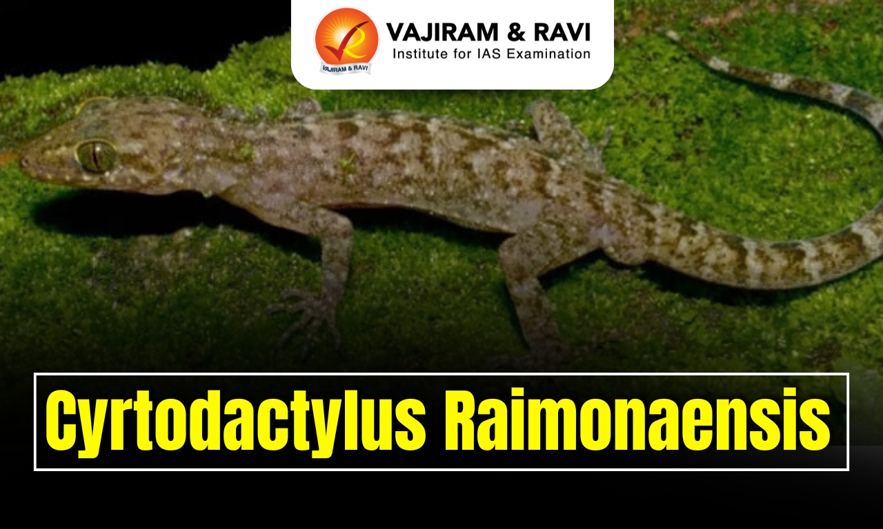 Cyrtodactylus raimonaensis