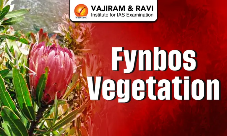 Fynbos Vegetation