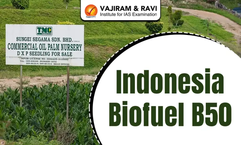 Indonesia Biofuel B50
