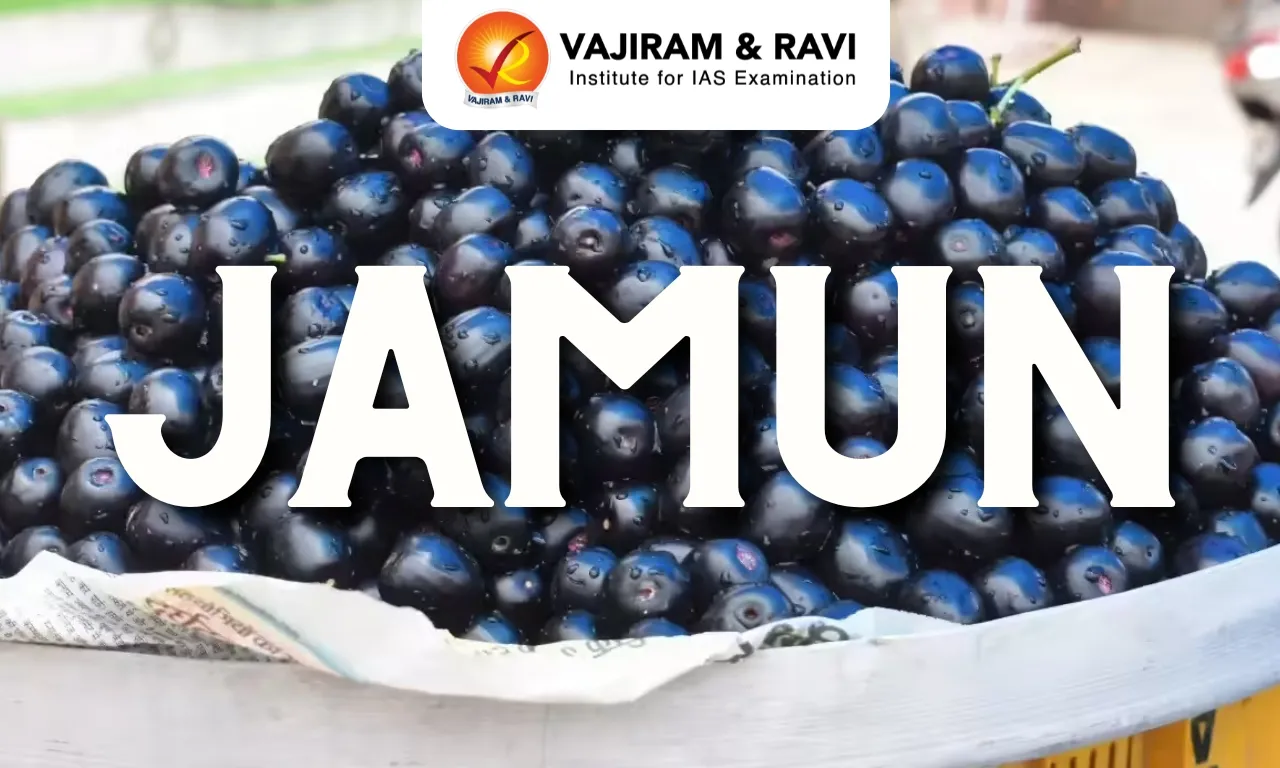 Jamun