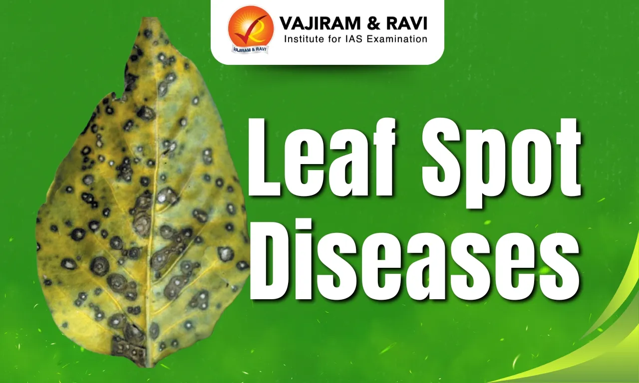 Leaf Spot Diseases