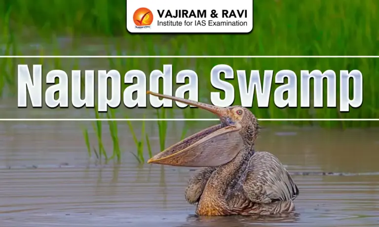 Naupada Swamp
