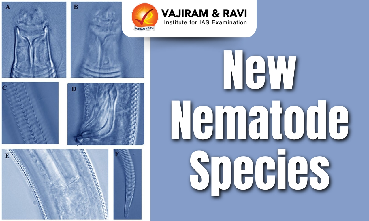 New Nematode Species