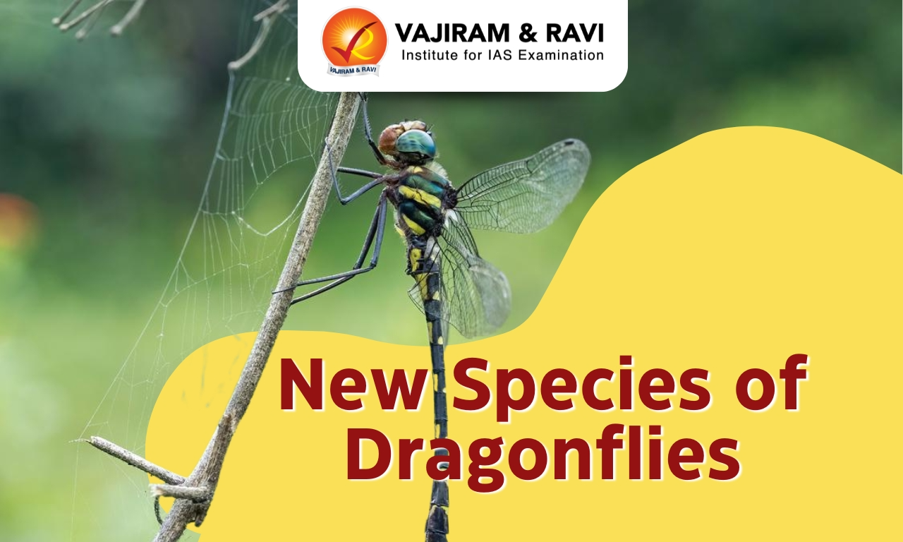 New Species of Dragonflies