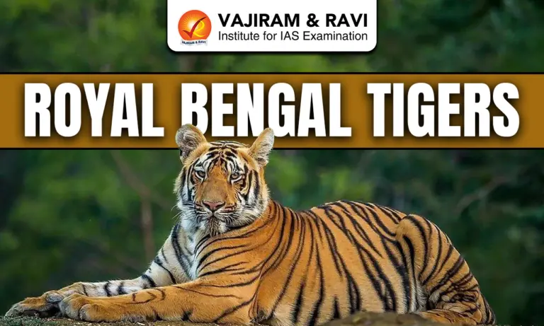 Royal Bengal Tigers