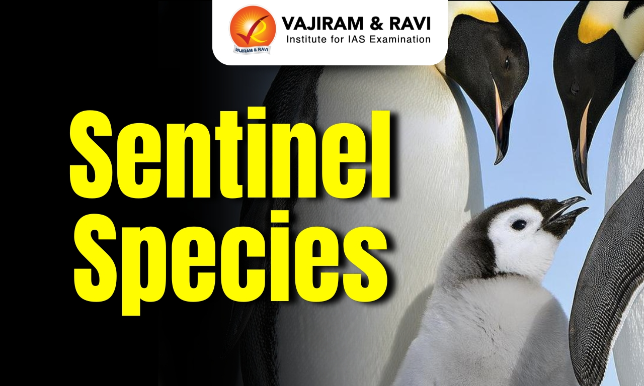 Sentinel Species