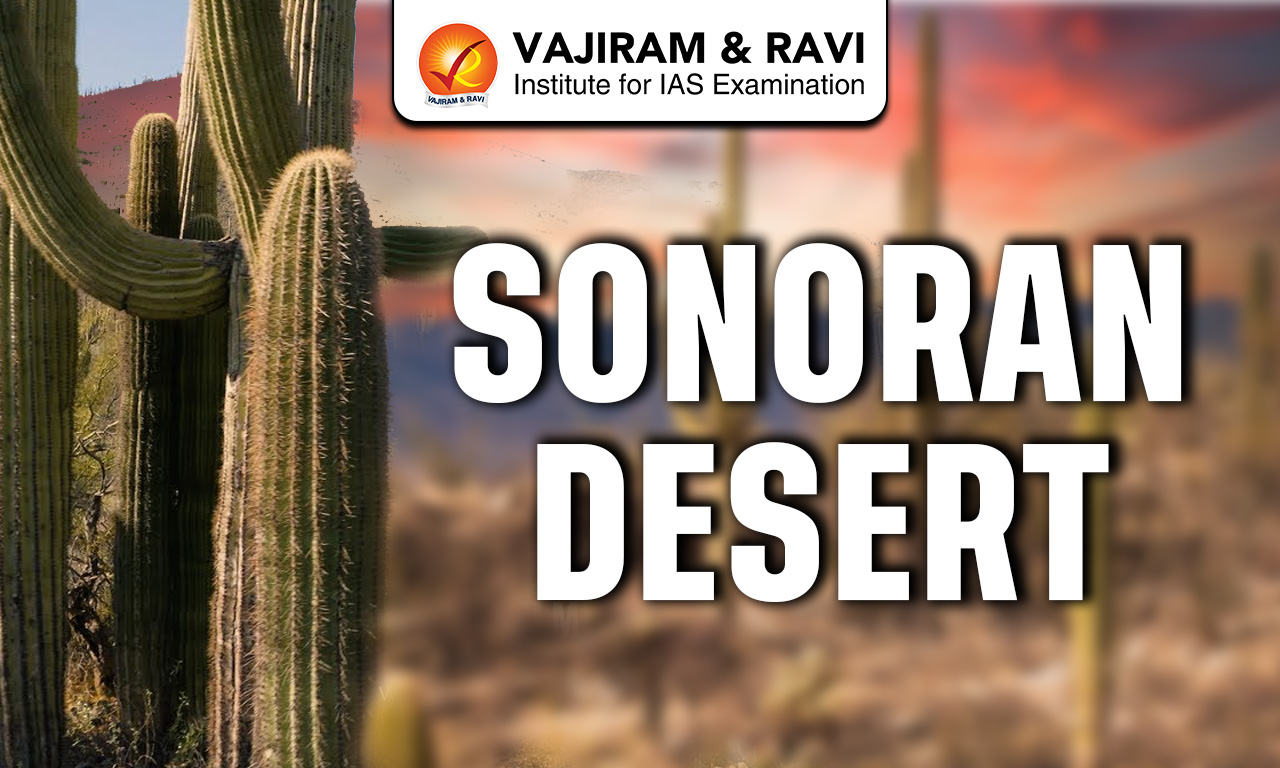 Sonoran Desert